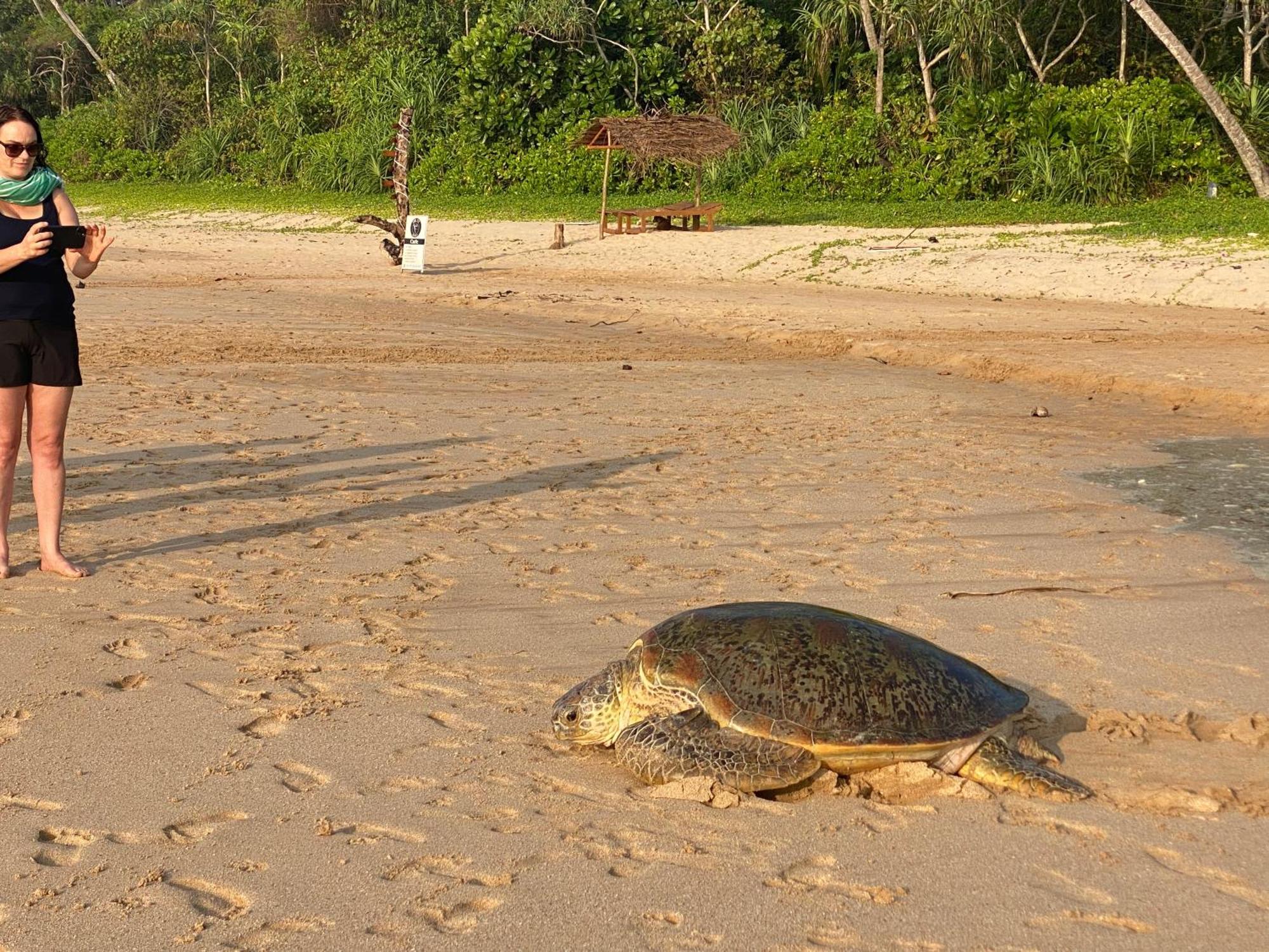 Talalla Bay Beach ภายนอก รูปภาพ