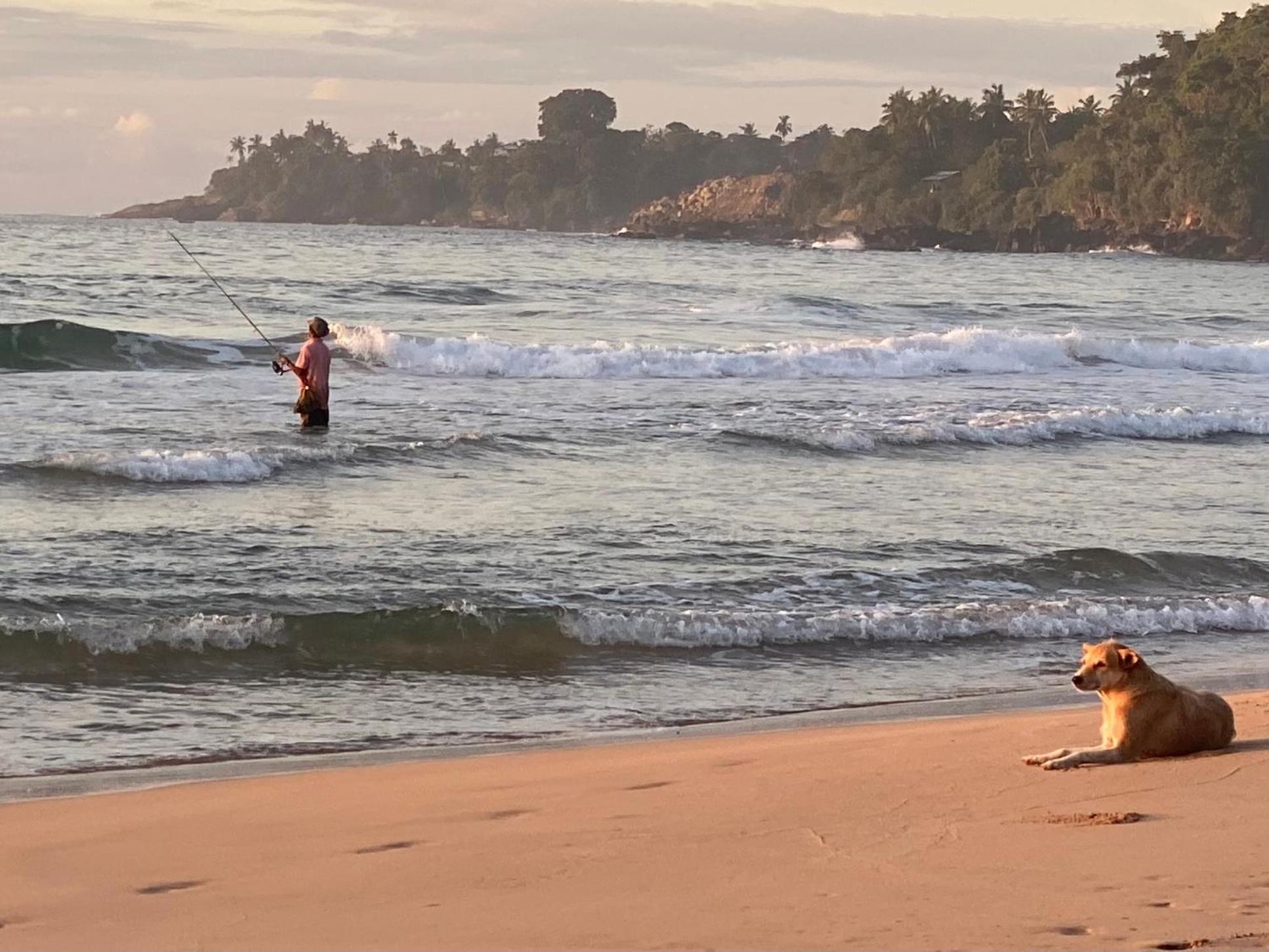 Talalla Bay Beach ภายนอก รูปภาพ