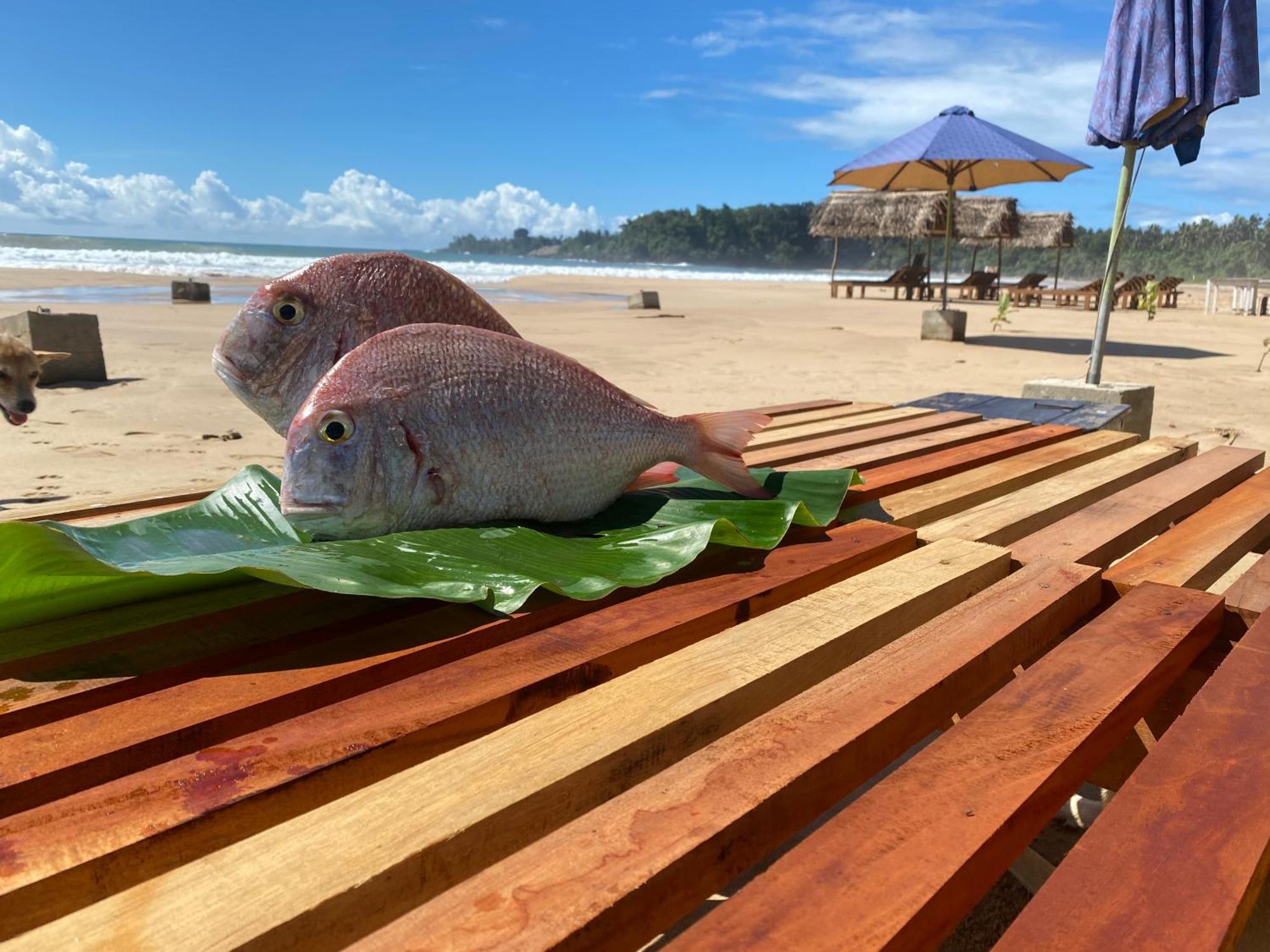 Talalla Bay Beach ภายนอก รูปภาพ