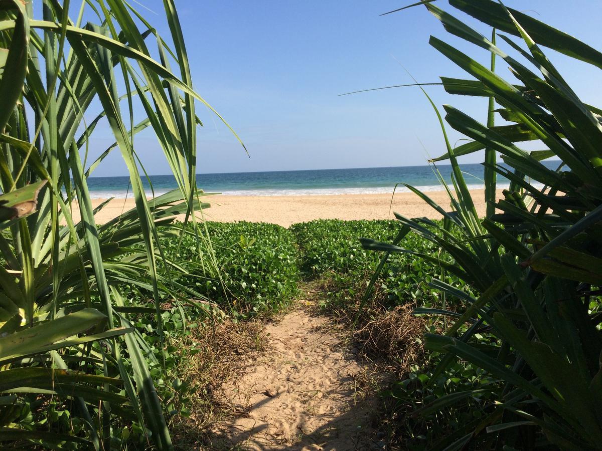 Talalla Bay Beach ภายนอก รูปภาพ